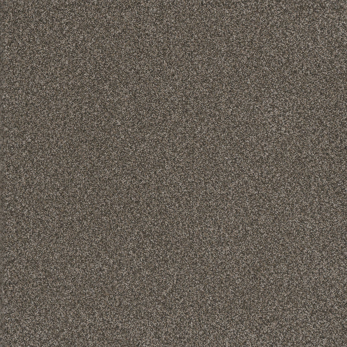 Titan III Polyester Woodford 150 Carpet Textured 1