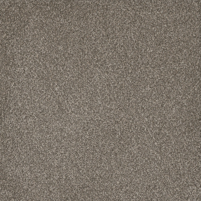 Titan III Polyester Royal Crown 227 Carpet Textured 1