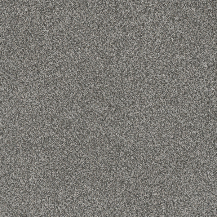 Titan II Polyester Orchid 278 Carpet Textured 1