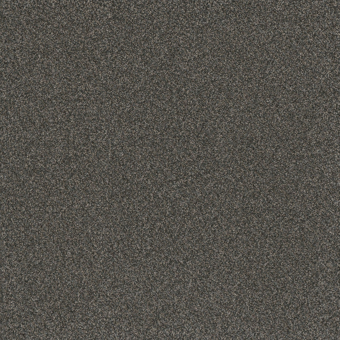 Titan II Polyester Beacon Hill 293 Carpet Textured 1