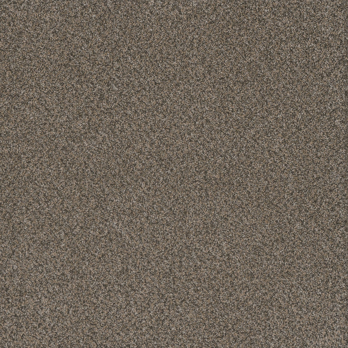 Titan II Polyester Honeycomb 335 Carpet Textured 1