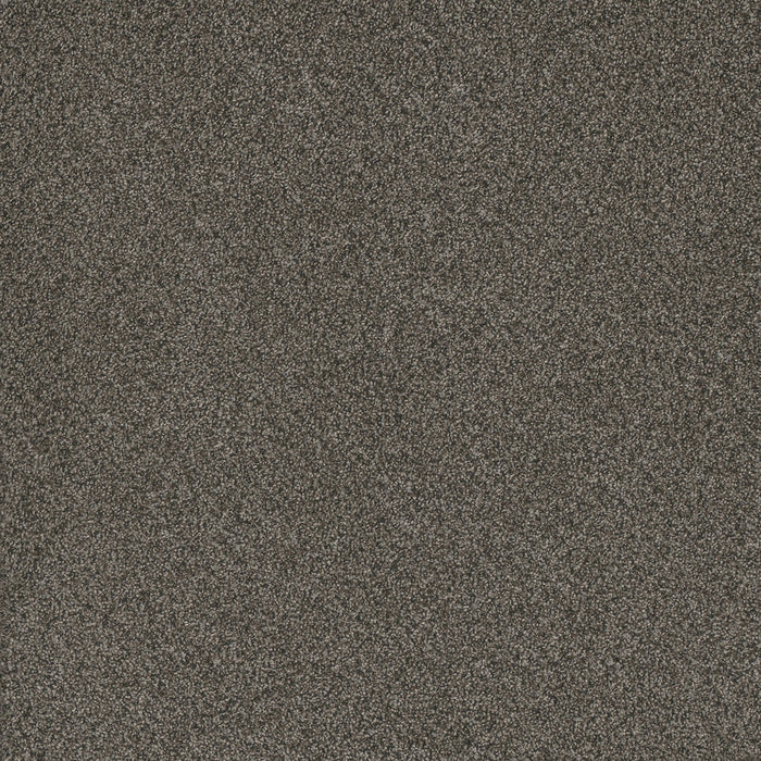 Titan I Polyester River Crest 342 Carpet Textured 1