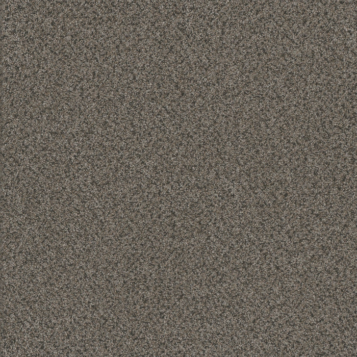 Titan II Polyester Quail Hollow 362 Carpet Textured 1