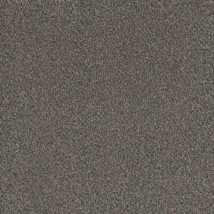 Titan II Polyester Castle Rock 387 Carpet Textured 1