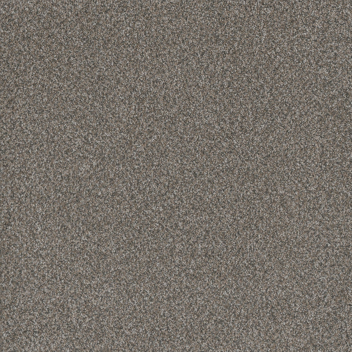 Titan II Polyester Luna Pearl 399 Carpet Textured 1