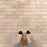 Atlas Porcelain Brick Cotto Tile Matte 7