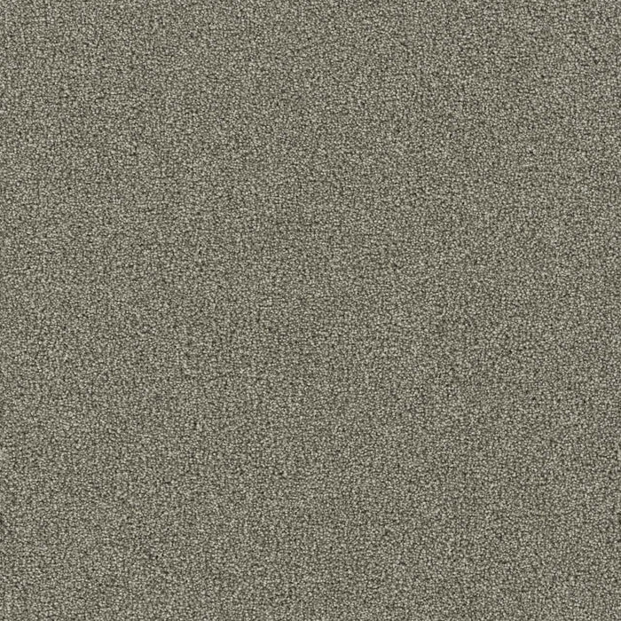 Foxwood II Polyester Graceful 333 Carpet Textured 1