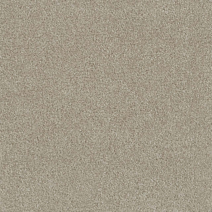 Foxwood III Polyester Old Bay 349 Carpet Textured 1