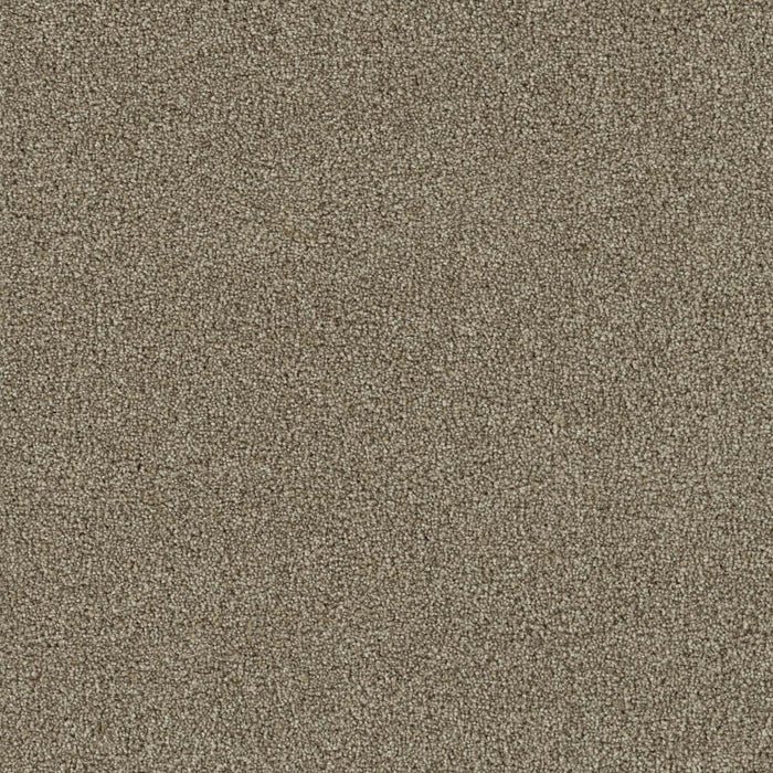 Foxwood II Polyester Iced Coffee 373 Carpet Textured 1