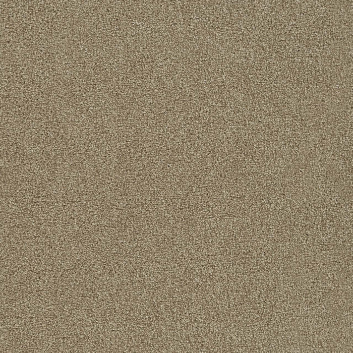 Foxwood I Polyester Wheat 527 Carpet Textured 1