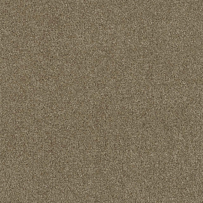 Foxwood II Polyester Canyon Cliff 571 Carpet Textured 1
