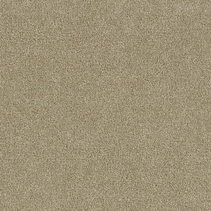 Foxwood I Polyester Cashmere 580 Carpet Textured 1