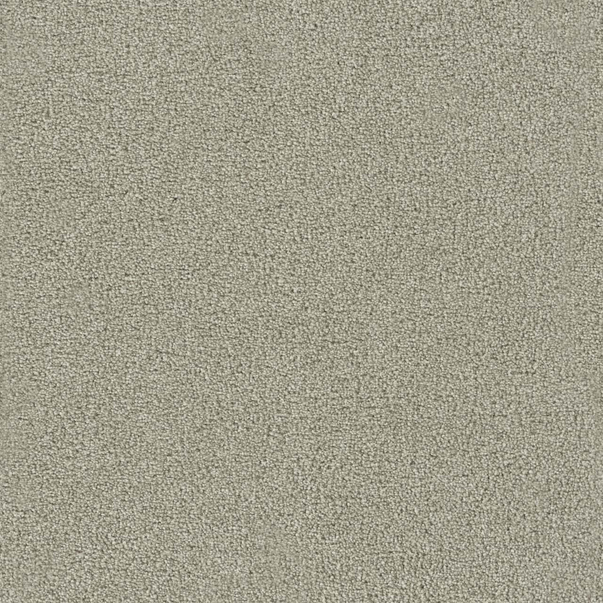 DreamWeaver Foxwood I 6006 Moon Mist Textured Polyester Carpet