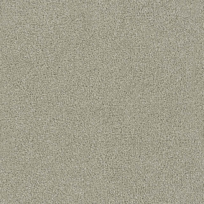 Foxwood I Polyester Moon Mist 6006 Carpet Textured 1