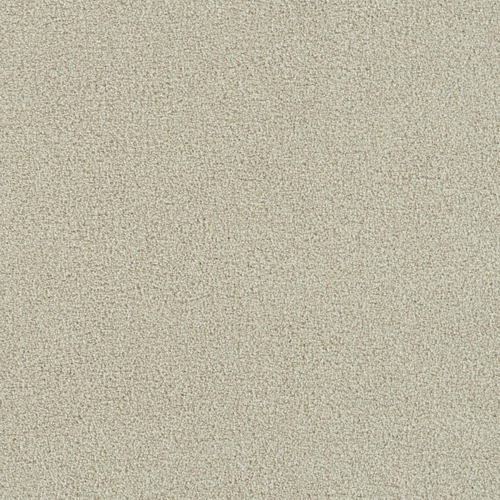 Foxwood III Polyester Champagne Fizz 6309 Carpet Textured 1
