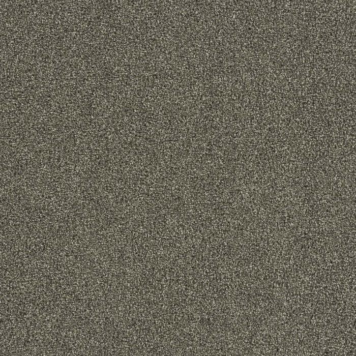 Foxwood I Polyester Hickory 669 Carpet Textured 1