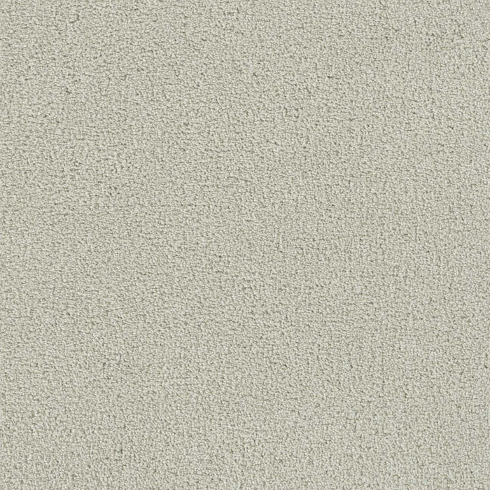 Foxwood I Polyester Cloud Nine 6809 Carpet Textured 1