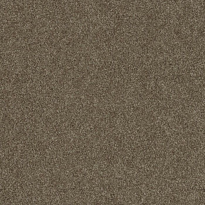 Foxwood II Polyester Quail 725 Carpet Textured 1