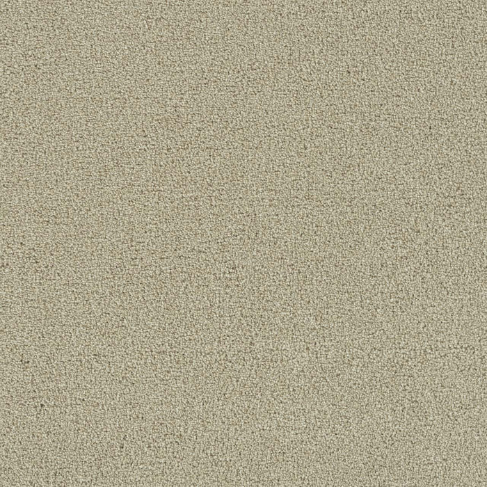 Foxwood I Polyester Celebration 728 Carpet Textured 1