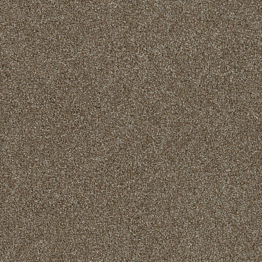 DreamWeaver Foxwood II 791 Maple Textured Polyester Carpet — Stone
