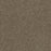 Foxwood II Polyester Ashwood 764 Carpet Textured 1