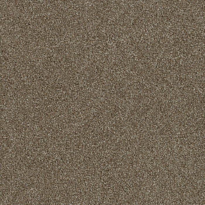 Foxwood III Polyester Ashwood 764 Carpet Textured 1