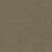 Foxwood I Polyester Hazelnut 775 Carpet Textured 1