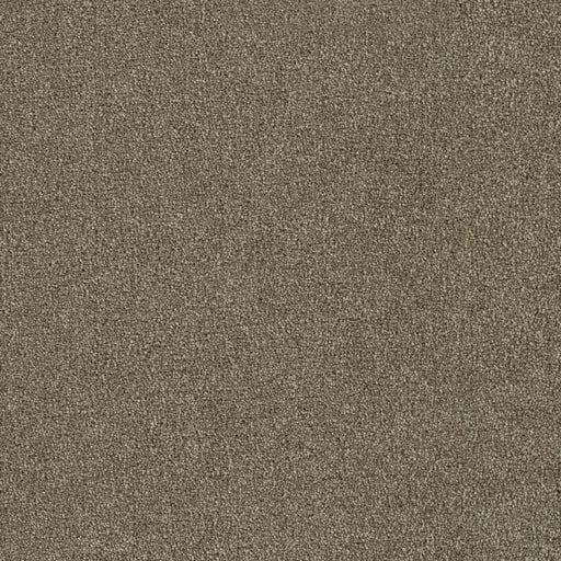 DreamWeaver Brazen I 848 Clove Textured Polyester Carpet — Stone