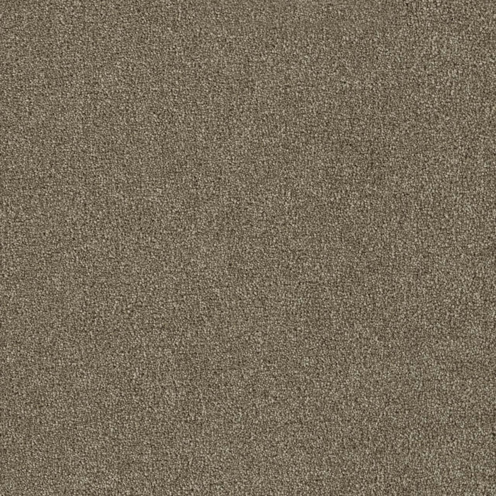 Foxwood II Polyester Hazelnut 775 Carpet Textured 1