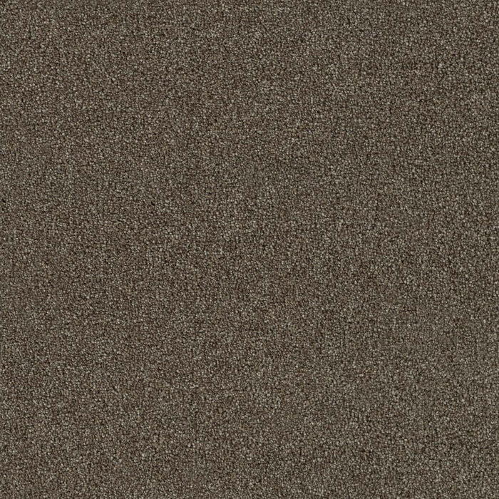Foxwood I Polyester Maple 791 Carpet Textured 1