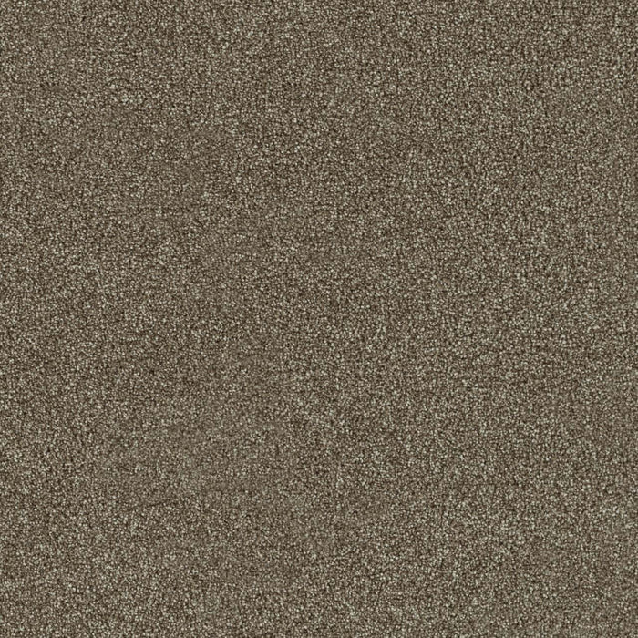 Foxwood II Polyester Harbor 792 Carpet Textured 1