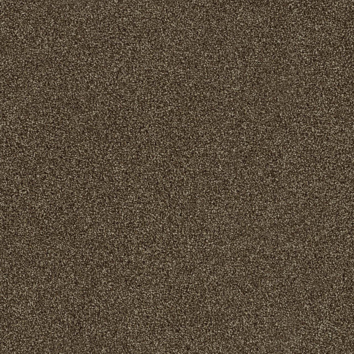 Foxwood I Polyester Jacobean 852 Carpet Textured 1