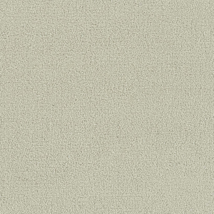 Foxwood I Polyester Snowbird 944 Carpet Textured 1