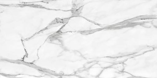 Angelo Silk Silver Porcelain Silver Tile Matte 1