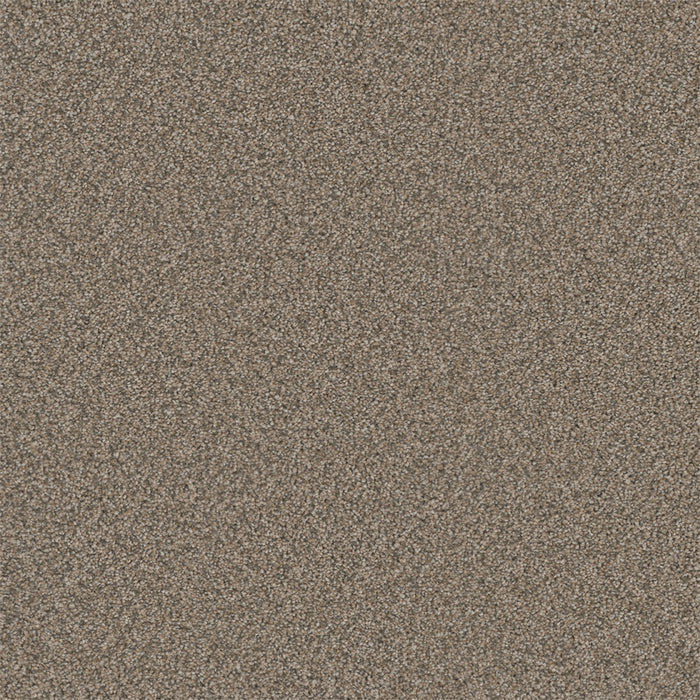 Royale III Polyester Umber 6004 Carpet Textured 1