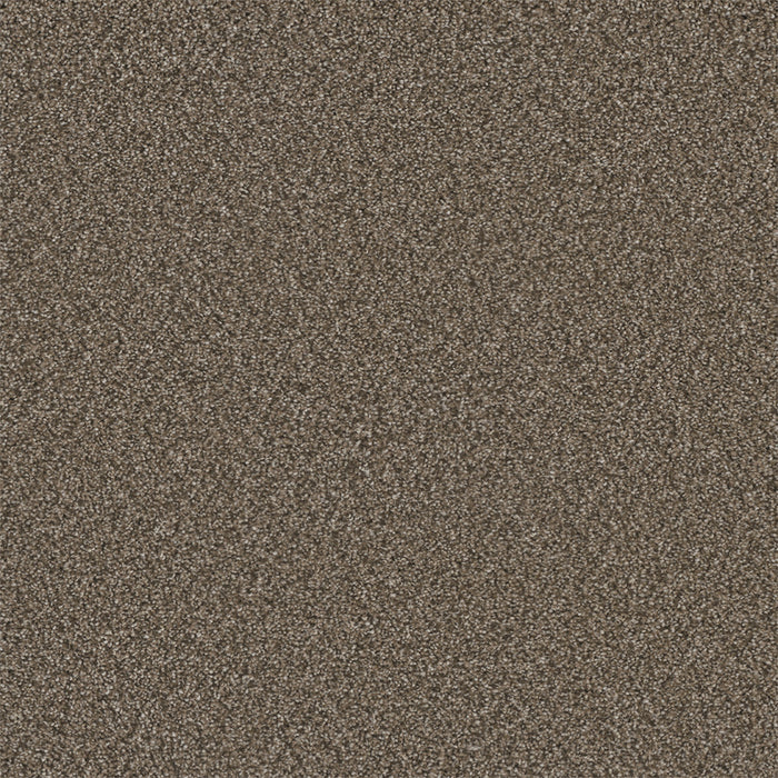 Royale II Polyester Fawn 6005 Carpet Textured 1