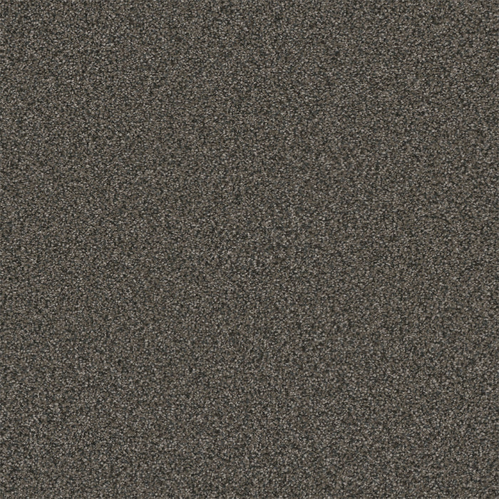 Royale III Polyester Burnt Amber 6007 Carpet Textured 1