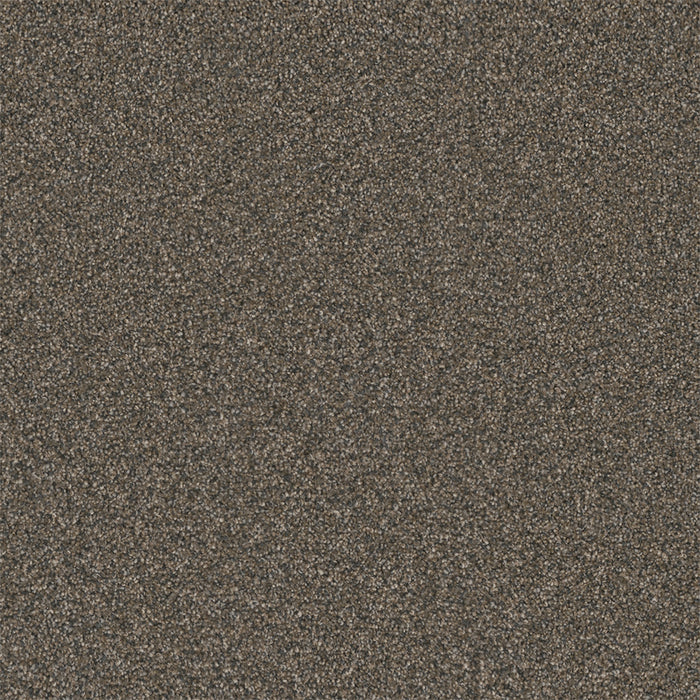 Royale I Polyester Bordeaux 6009 Carpet Textured 1