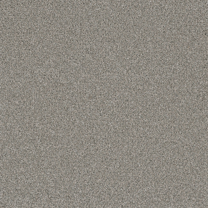 Royale II Polyester Winterscape 6040 Carpet Textured 1