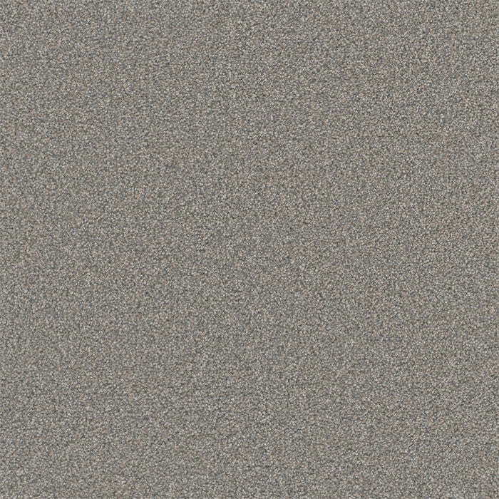 Royale I Polyester Marble Glaze 6048 Carpet Textured 1