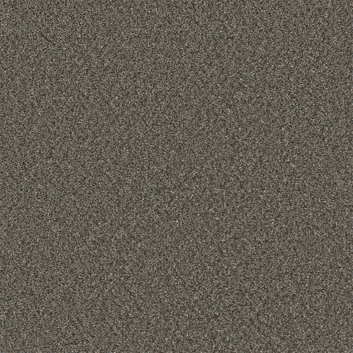 Royale I Polyester Meadow Dance 6049 Carpet Textured 1