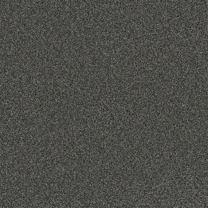Royale II Polyester Denim Blues 6064 Carpet Textured 1