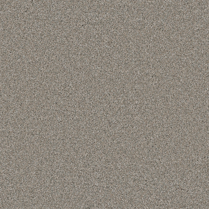 Royale II Polyester Antique Fresco 6076 Carpet Textured 1