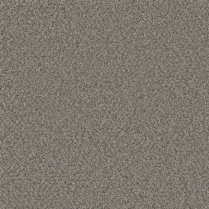 Royale III Polyester Dogwood 6077 Carpet Textured 1