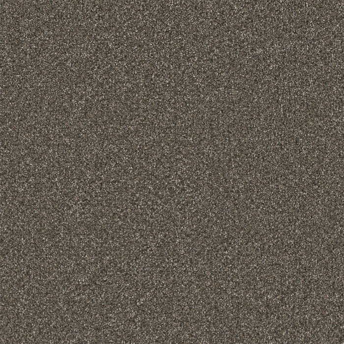 Royale I Polyester Rugby 6112 Carpet Textured 1