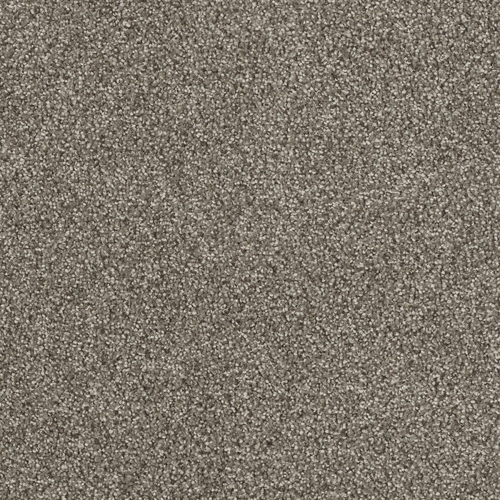 Monte Carlo II Polyester Baltic Birch 622 Carpet Textured 1