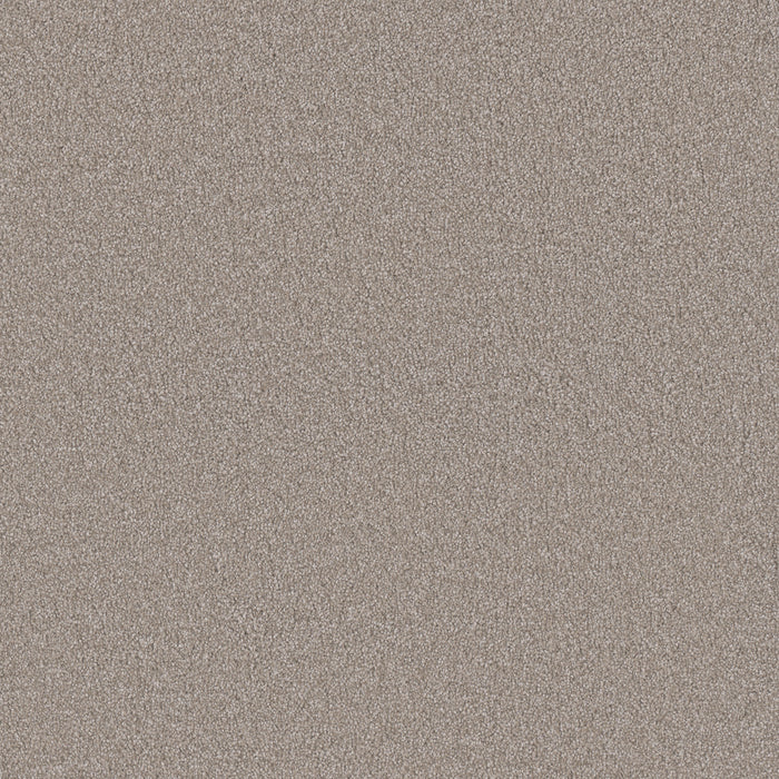 Royale I Polyester Parchment 744 Carpet Textured 1