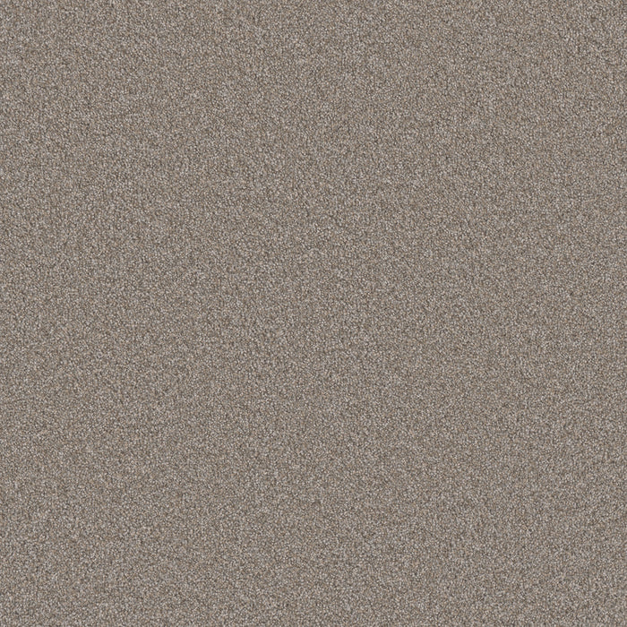 Monte Carlo I Polyester Iron Frost 815 Carpet Textured 1