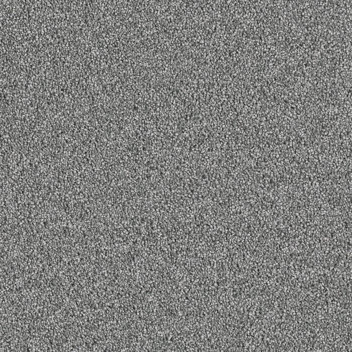 Royale III Polyester Pewter 890 Carpet Textured 1