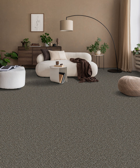 Royale I Polyester Meadow Dance 6049 Carpet Textured 2